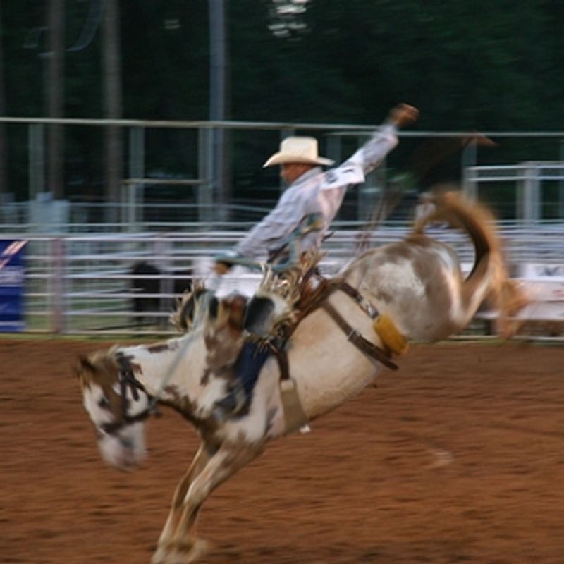 Woodward Elks Rodeo Oklahoma's Official Travel
