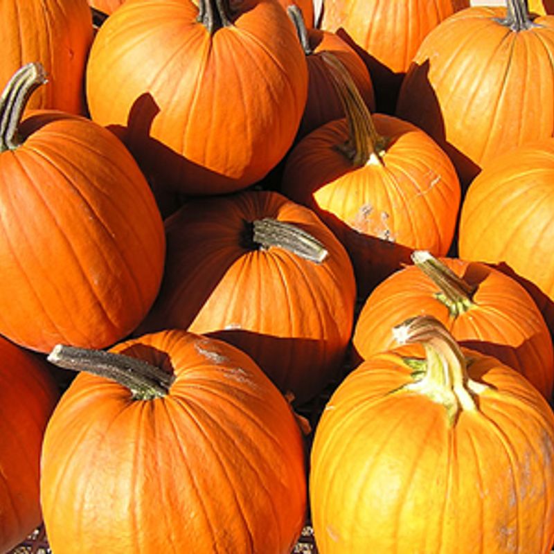 Cordell Pumpkin Festival Oklahoma's Official Travel