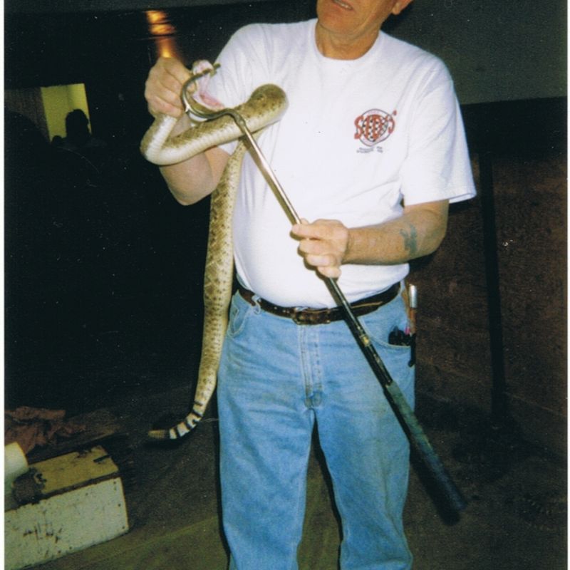 Waynoka Rattlesnake Hunt Oklahoma's Official Travel