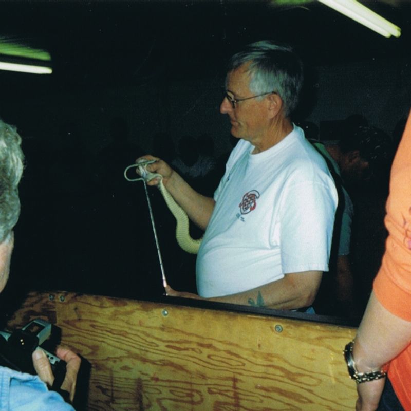 Waynoka Rattlesnake Hunt Oklahoma's Official Travel