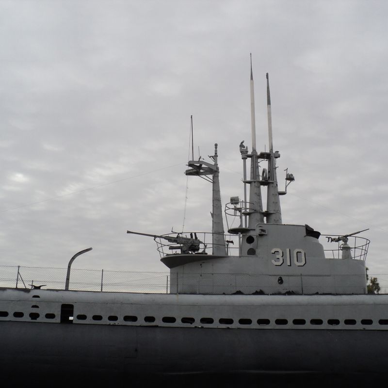 My Image 11
