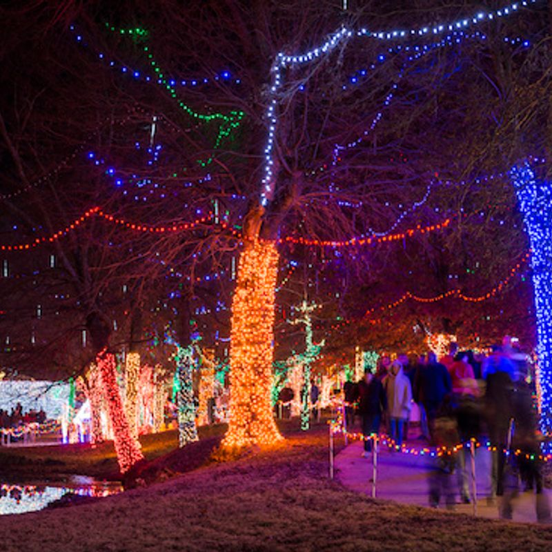 Rhema Christmas Lights | TravelOK.com - Oklahoma's Official Travel ...