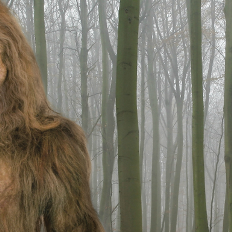 Sasquatch Sightings Hayride Oklahoma's Official Travel