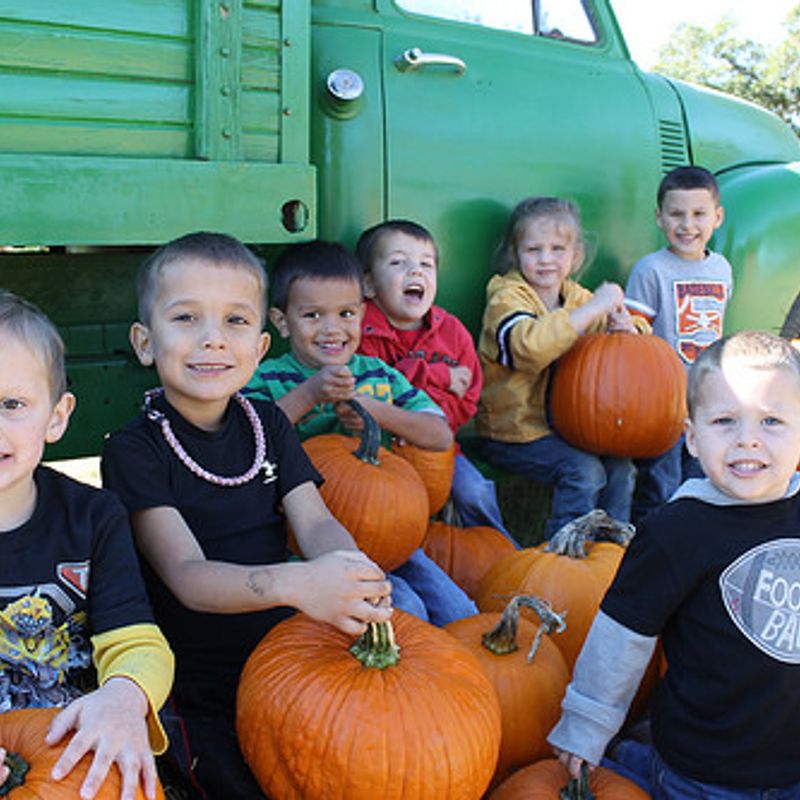Happy Day Farms Pumpkin Patch Oklahoma's Official Travel & Tourism Site