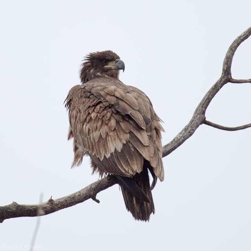 Sequoyah National Wildlife Refuge | TravelOK.com - Oklahoma's Official ...