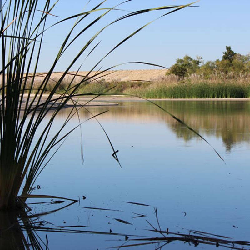 Fort Supply Lake Oklahoma's Official Travel & Tourism Site