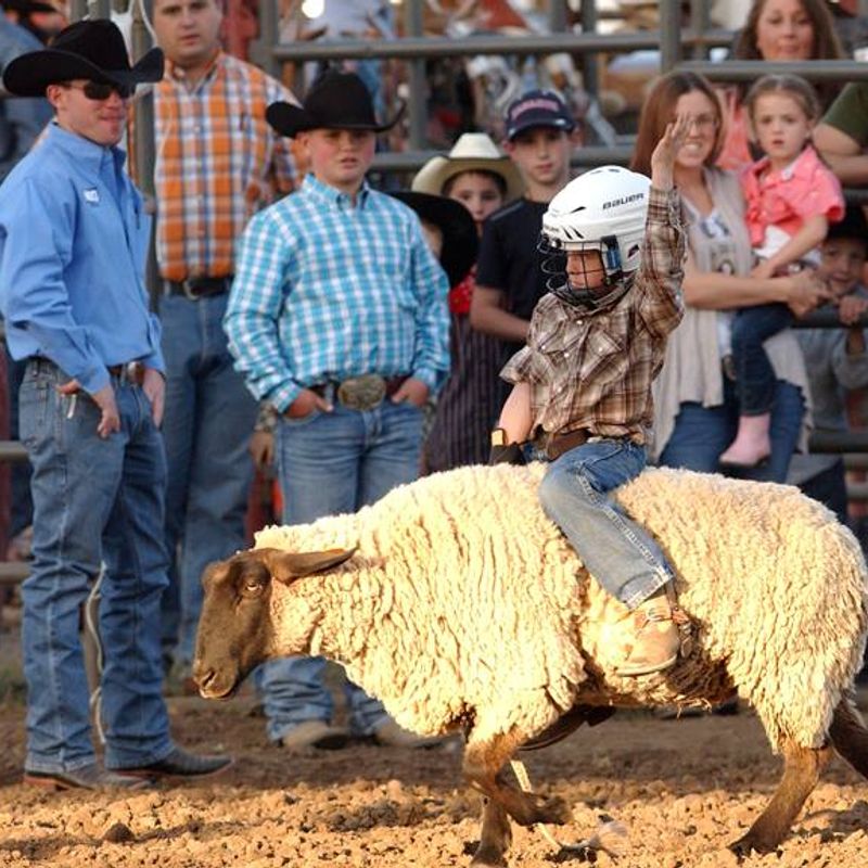 Rodeo Miami Oklahoma's Official Travel & Tourism Site