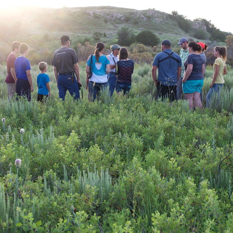 Selman Bat Cave Wildlife Management Area Oklahoma's