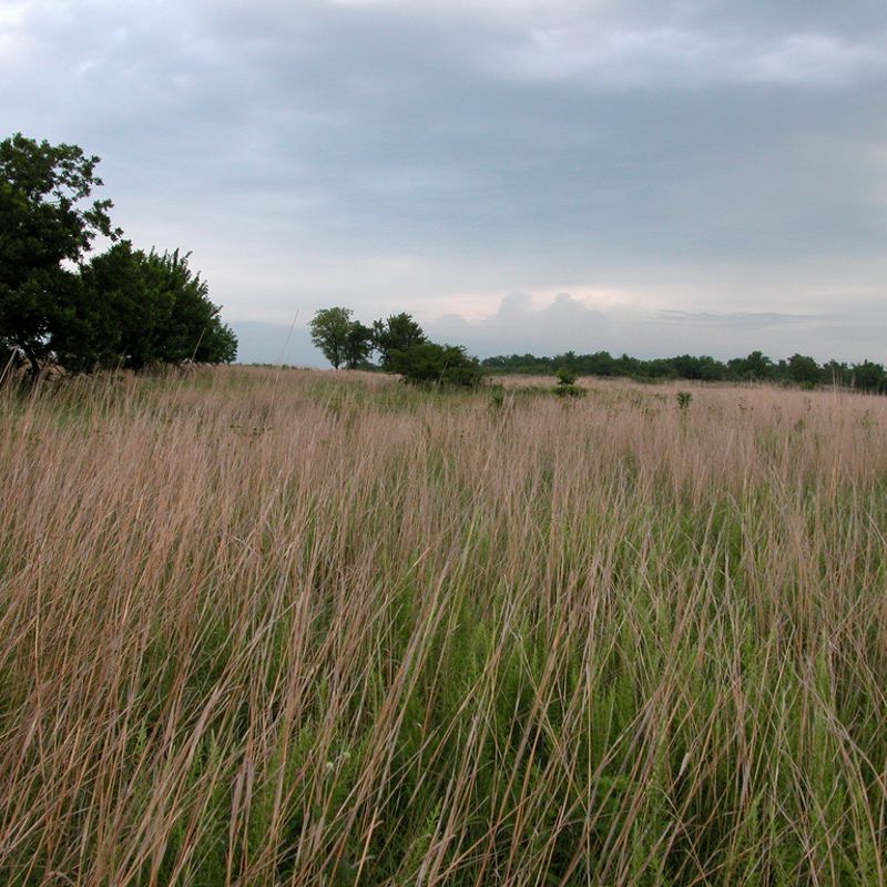 Pontotoc Ridge Preserve | TravelOK.com - Oklahoma's Official Travel ...