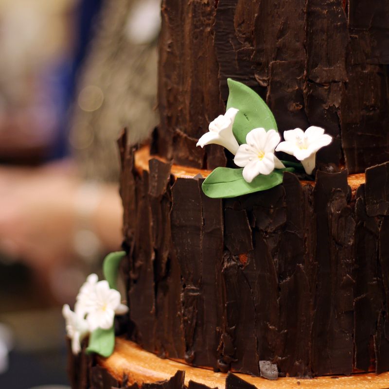 Norman Chocolate Festival Oklahoma's Official Travel