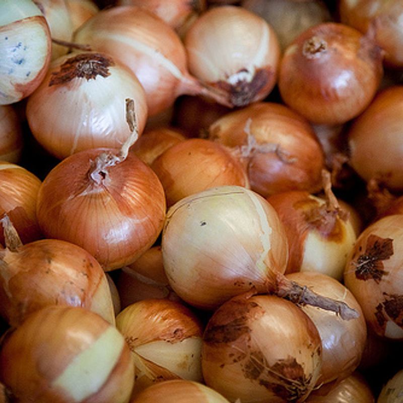 Cushing Main Street Farmers Market Oklahoma's Official