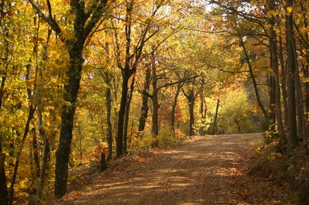 Best Bets for Oklahoma Fall Foliage
