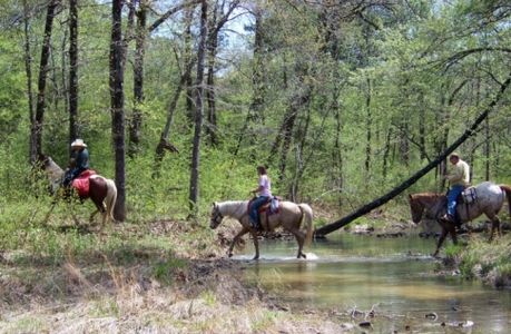 Ouachita National Forest | TravelOK.com - Oklahoma's Official Travel ...