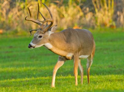 Lake Thunderbird | TravelOK.com - Oklahoma's Official Travel & Tourism Site