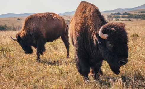 Wichita Mountains Scenic Byway 