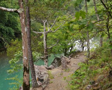 Escape to Eagle Creek: Your Gateway to Illinois Adventure