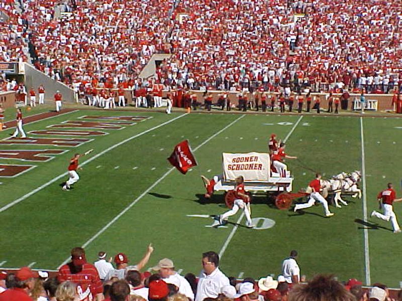 The Sooner Schooner celebrates after a touchdown during a University of Oklahoma football game.