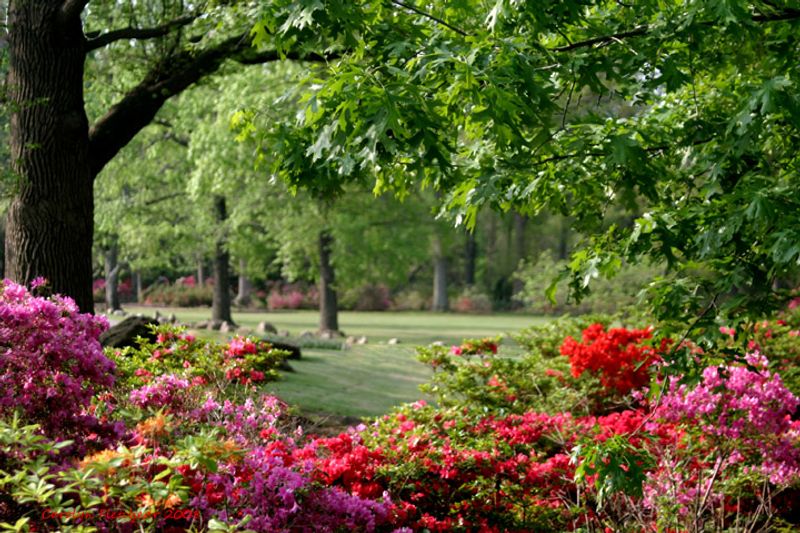 Honor Heights Park sports dazzling colors spring through fall.