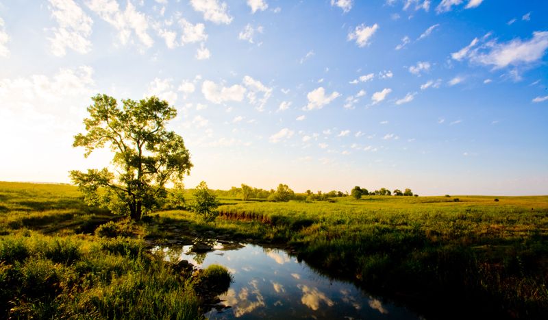 The Tallgrass Prairie Preserve near Pawhuska offers driving tours to take in the area's scenic tallgrass terrain and resident buffalo herds.