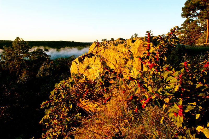 A morning fog rises among the Sans Bois Mountains at Robbers Cave State Park in Wilburton.