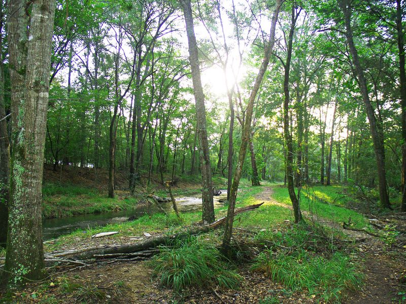 Follow the hiking trail alongside Lost Creek in Beavers Bend State Park.