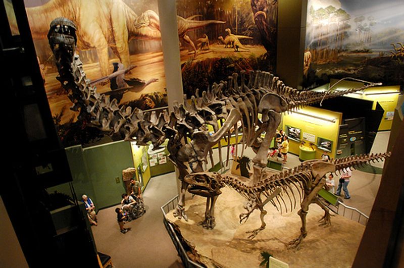 Norman is the home of the Sam Noble Museum on the University of Oklahoma campus. The museum's resident dinosaurs, gargantuan prehistoric bugs, nature dioramas and walk-through cave make it extremely popular with the kids.