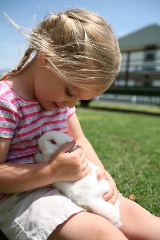 P Bar Farms in Hydro offers year-round children's farm activities and is a unique stop for Route 66 travelers.