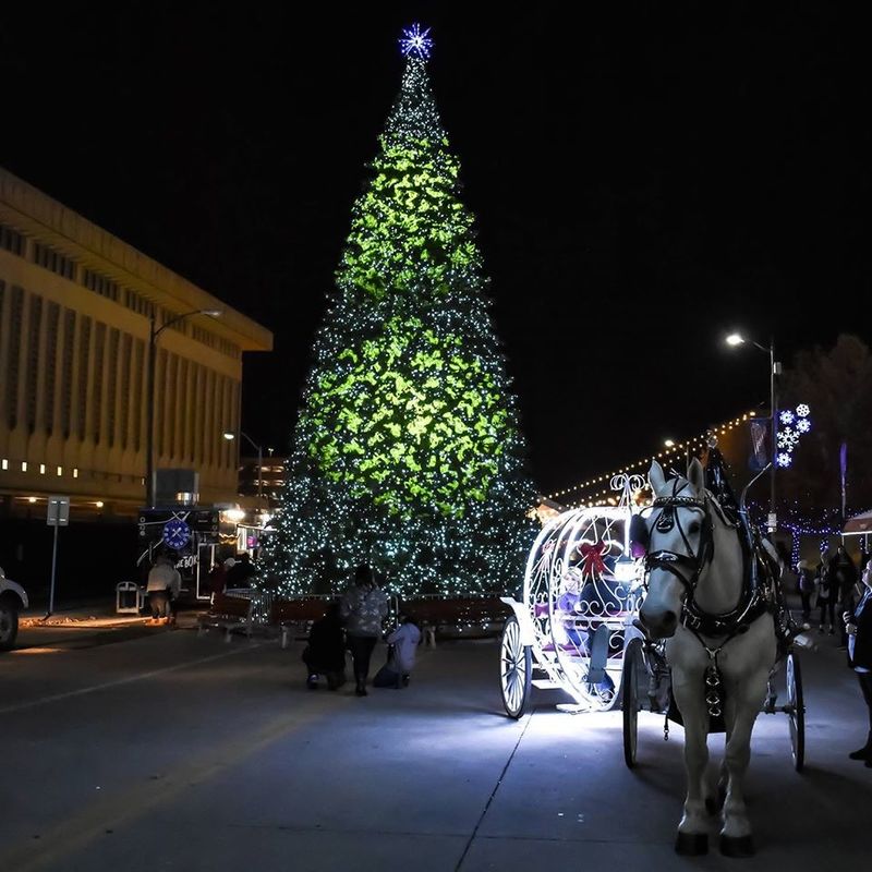 Embark on lighted carriage rides during Tulsa's Winterfest celebration.