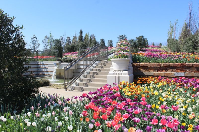 Enjoy a peaceful stroll through Tulsa Botanic Garden's colorful landscapes.