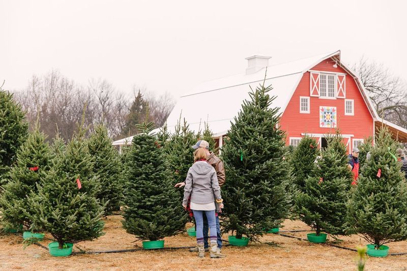Create lasting winter holiday memories with a trip to Red Bird Farm in Enid.