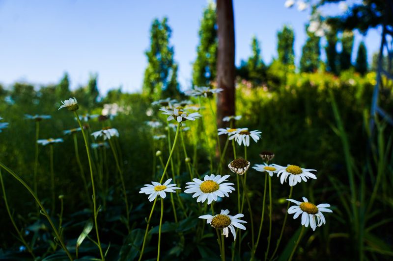 Find peace and solitude on a stroll through the Tulsa Botanic Garden.