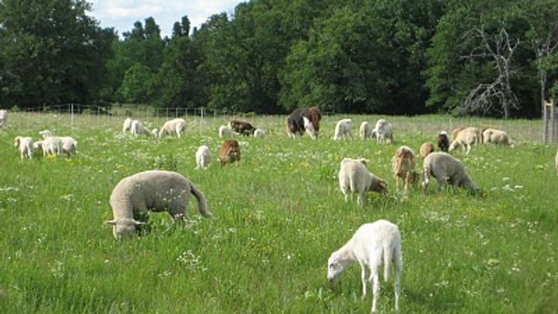 The Living Kitchen Farm and Dairy in Depew offers themed dinners made with local, seasonal produce.