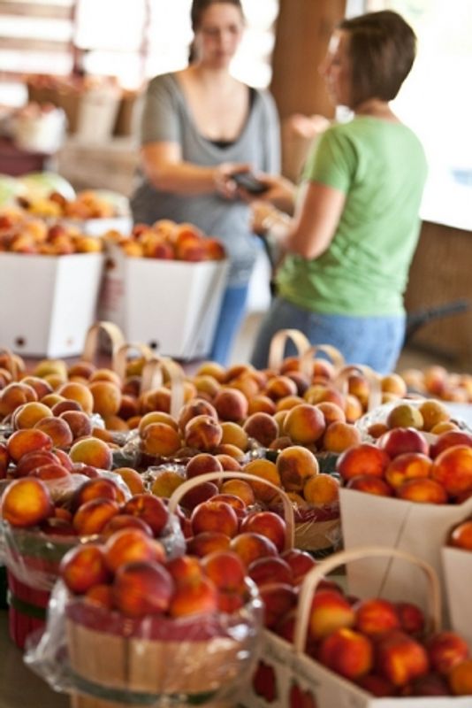 Porter is known for an amazing peach crop and the annual Porter Peach Festival.  Livesay Orchards in Porter is a great place to buy some freshly picked peaches.