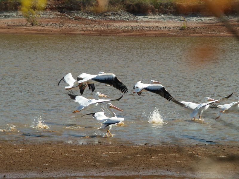 Salt Plains State Park in Jet features unexpected natural treasures like its saltwater lake.