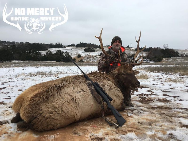 No Mercy Hunting offers both high fence and free range hunts for a large variety of game and fowl.