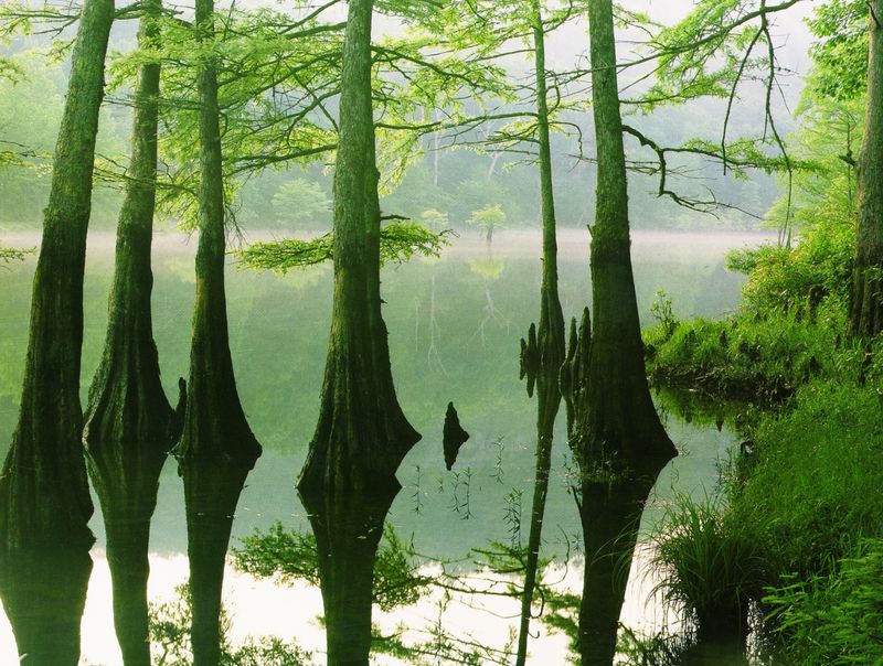 Oklahoma's Diverse Ecoregions Oklahoma's Official