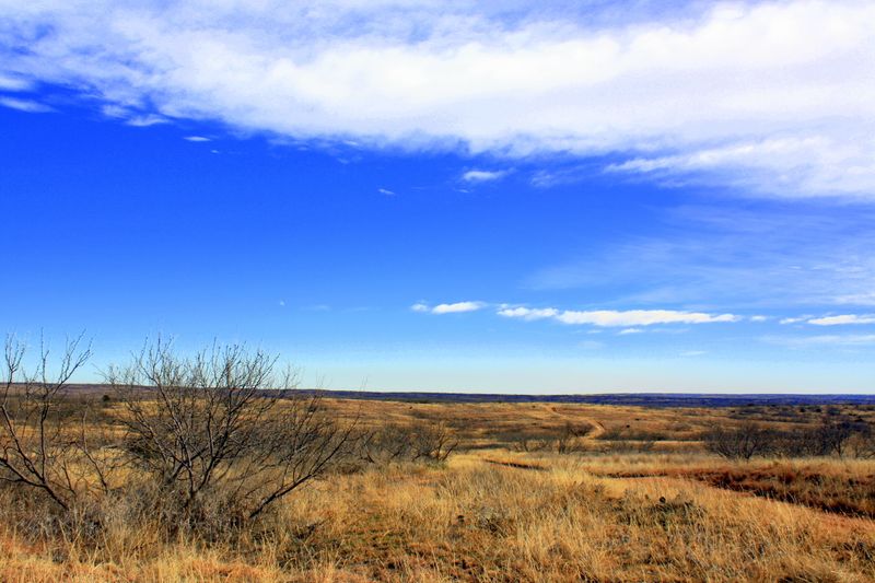 Sandy Sanders Wildlife Management Area Oklahoma's