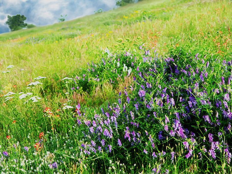 City of Muskogee Oklahoma's Official Travel & Tourism Site