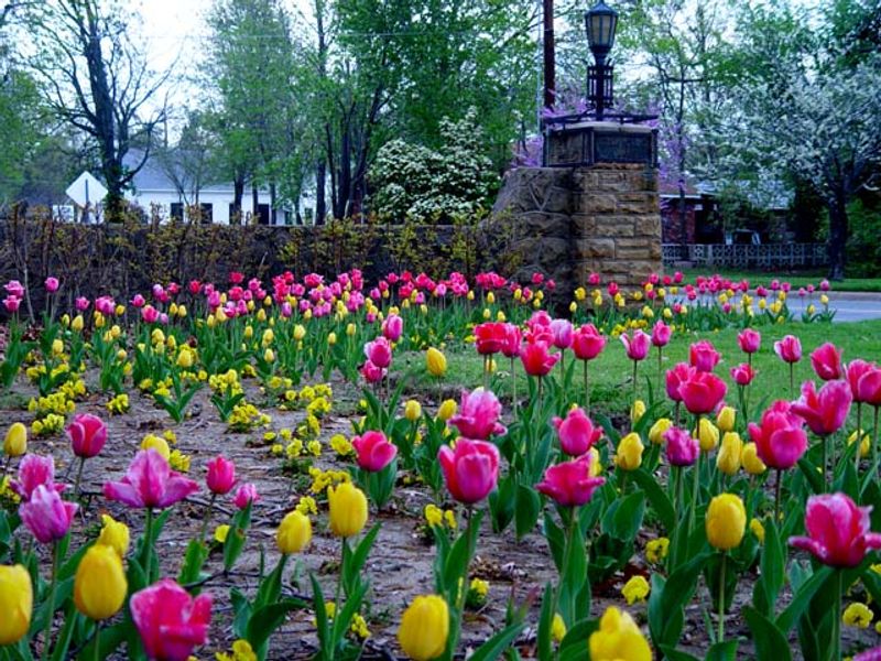50 Ways to Celebrate Spring in Oklahoma Oklahoma's
