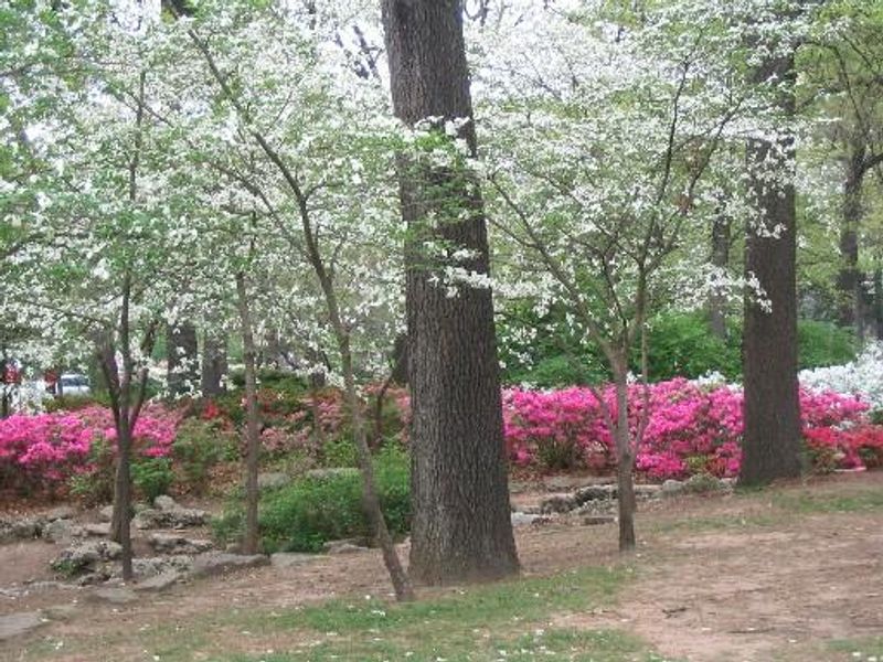 Botanical Gardens | TravelOK.com - Oklahoma's Official Travel & Tourism