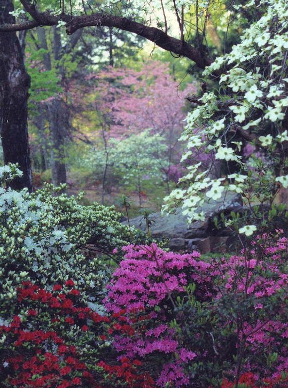 50 Ways to Celebrate Spring in Oklahoma Oklahoma's