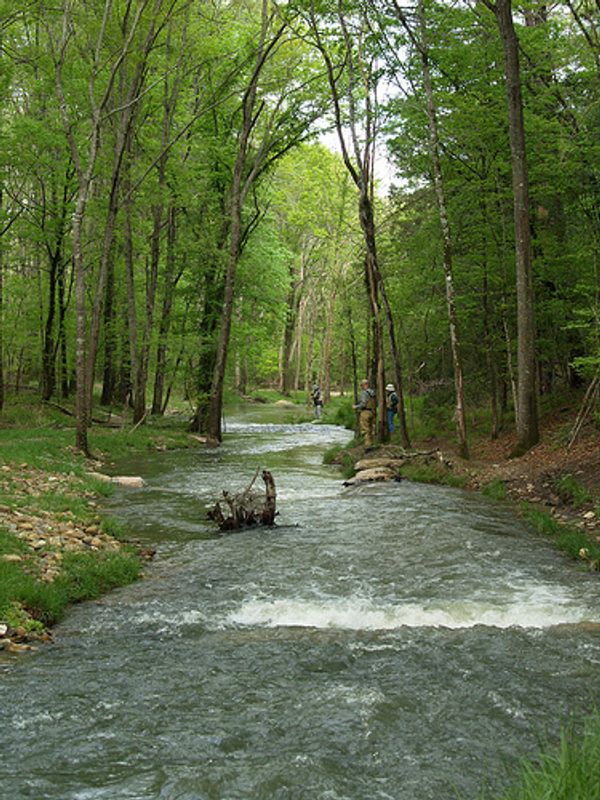 Beavers Bend State Park Oklahoma's Official Travel