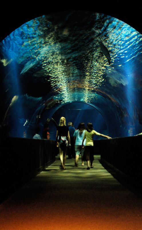 Oklahoma Zoos & Aquariums | TravelOK.com - Oklahoma's Official Travel