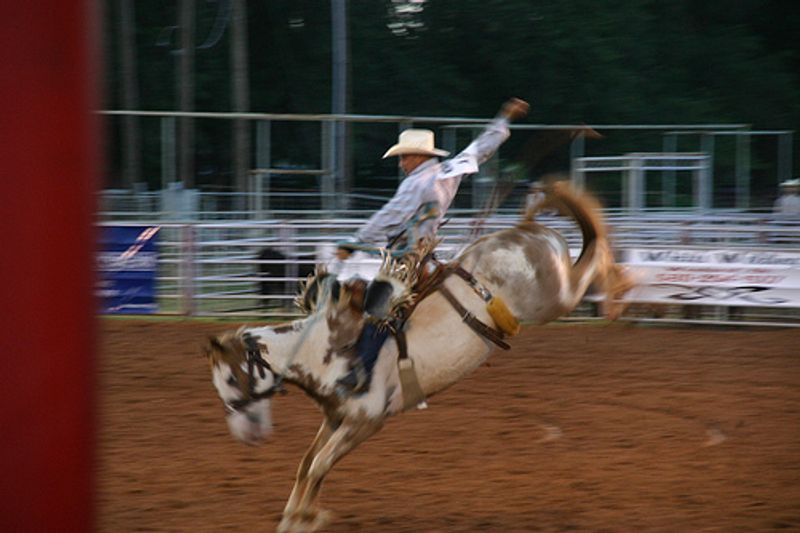 Oklahoma Rodeos Oklahoma's Official Travel & Tourism Site