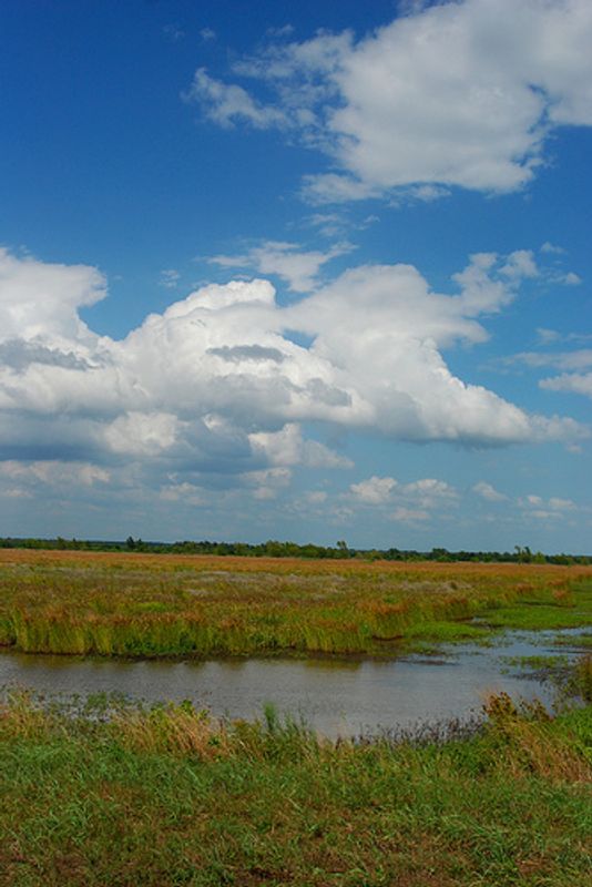 City of Idabel Oklahoma's Official Travel & Tourism Site