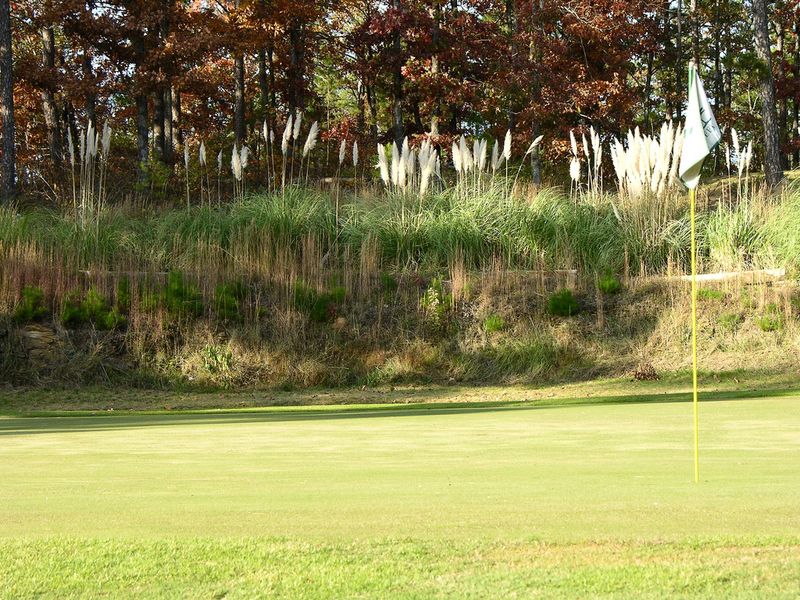 Beavers Bend State Park Oklahoma's Official Travel