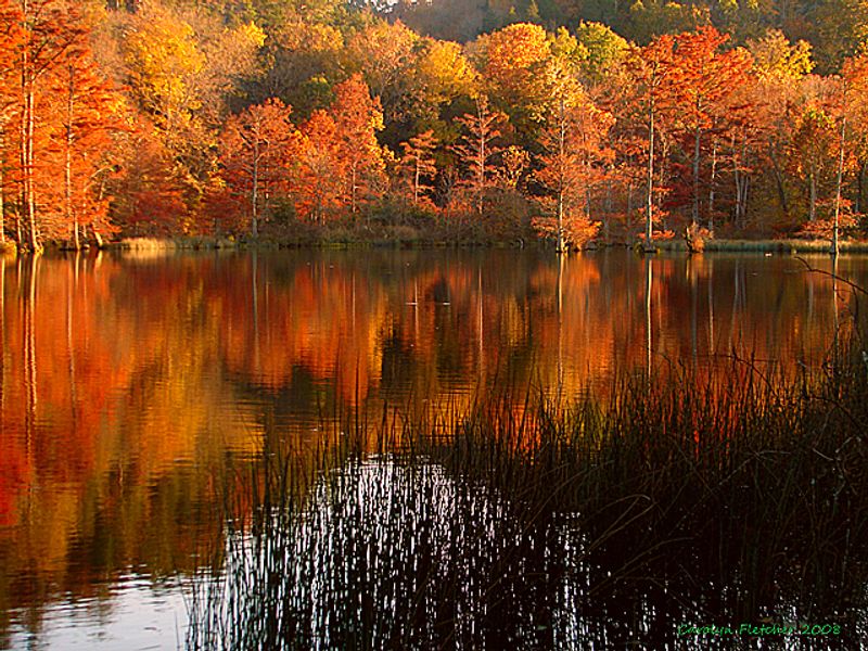 50 Ways to Celebrate Fall in Oklahoma Oklahoma's
