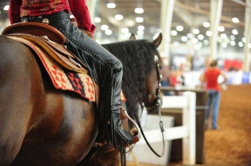 Equestrian & Horseback Riding Oklahoma's Official