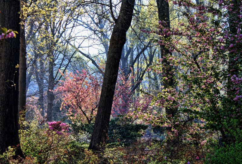 50 Ways to Celebrate Spring in Oklahoma Oklahoma's