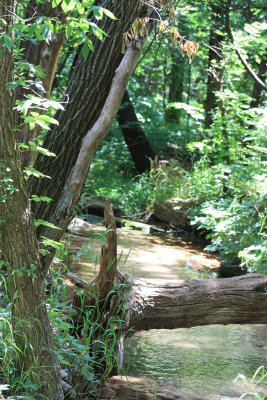 Picnic Spots In Oklahoma